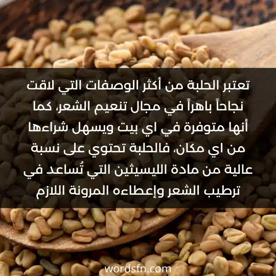 تعتبر الحلبة من أكثر الوصفات التي لاقت نجاحاً باهراً في مجال تنعيم الشعر، كما أنها متوفرة في اي بيت ويسهل شراءها من اي مكان