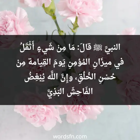 النبيَّ ﷺ قالَ: مَا مِنْ شَيءٍ أَثْقَلُ في ميزَانِ المُؤمِنِ يَومَ القِيامة مِنْ حُسْنِ الخُلُقِ، وإِنَّ اللَّه يُبْغِضُ الفَاحِشَ البَذِيَّ