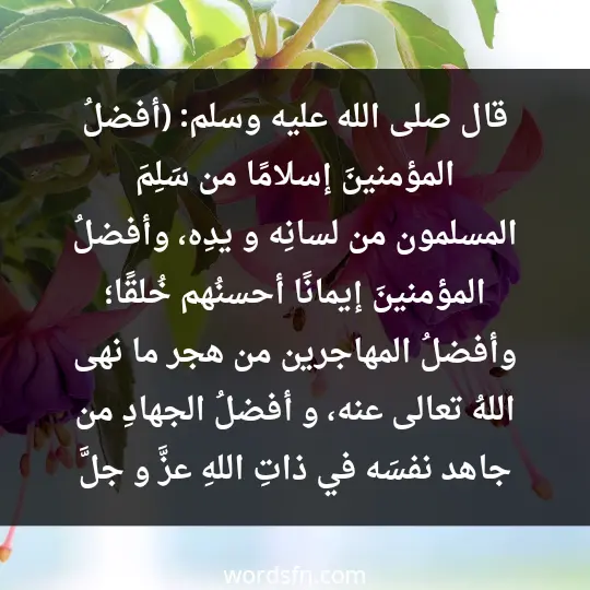 قال صلى الله عليه وسلم: (أفضلُ المؤمنينَ إسلامًا من سَلِمَ المسلمون من لسانِه و يدِه، وأفضلُ المؤمنينَ إيمانًا أحسنُهم خُلقًا؛ وأفضلُ المهاجرين من هجر ما نهى اللهُ تعالى عنه، و أفضلُ الجهادِ من جاهد نفسَه في ذاتِ اللهِ عزَّ و جلَّ