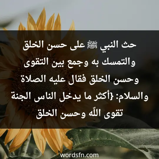 حث النبي ﷺ على حسن الخلق، والتمسك به، وجمع بين التقوى وحسن الخلق، فقال عليه الصلاة والسلام: {أكثر ما يدخل الناس الجنة، تقوى اللّه وحسن الخلق