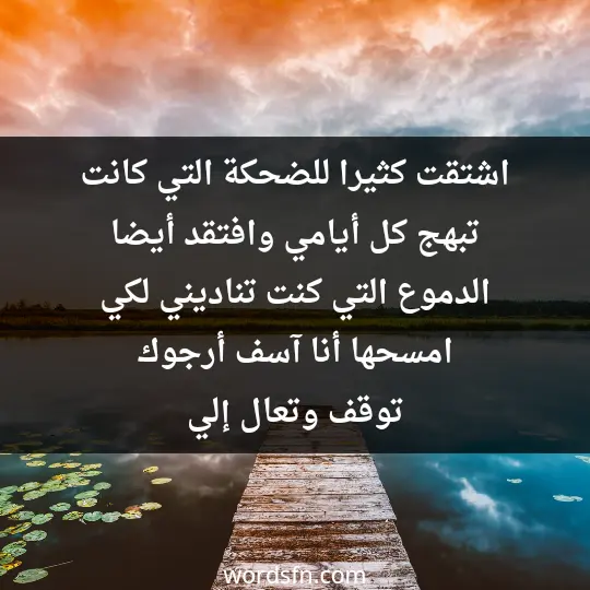 اشتقت كثيرا للضحكة التي كانت تبهج كل أيامي، وافتقد أيضا الدموع التي كنت تناديني لكي امسحها، أنا آسف أرجوك توقف وتعال إلي