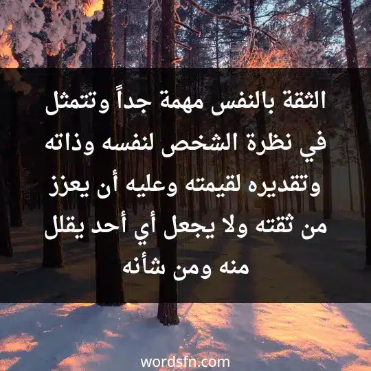 الثقة بالنفس مهمة جداً، وتتمثل في نظرة الشخص لنفسه وذاته، وتقديره لقيمته، وعليه أن يعزز من ثقته ولا يجعل أي أحد يقلل منه ومن شأنه