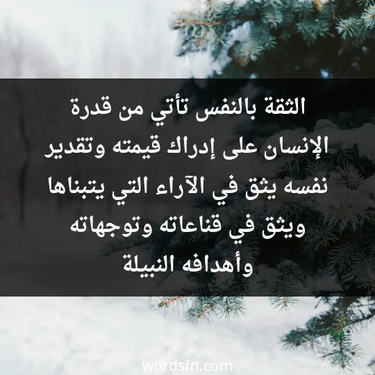 الثقة بالنفس تأتي من قدرة الإنسان على إدراك قيمته وتقدير نفسه. يثق في الآراء التي يتبناها، ويثق في قناعاته وتوجهاته وأهدافه النبيلة