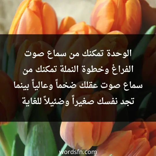 الوحدة تمكنك من سماع صوت الفراغ، وخطوة النملة، تمكنك من سماع صوت عقلك ضخماً وعالياً. بينما تجد نفسك صغيراً وضئيلاً للغاية