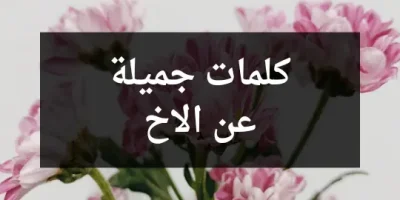 كلمات جميلة عن الاخ