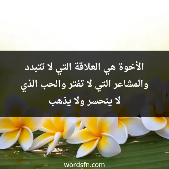 الأخوة هي العلاقة التي لا تتبدد، والمشاعر التي لا تفتر، والحب الذي لا ينحسر ولا يذهب