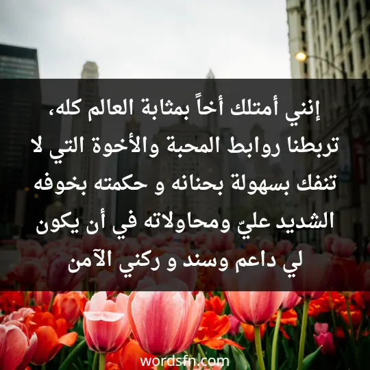 إنني أمتلك أخاً بمثابة العالم كله، تربطنا روابط المحبة والأخوة التي لا تنفك بسهولة. بحنانه و حكمته، بخوفه الشديد عليّ ومحاولاته في أن يكون لي داعم وسند و ركني الآمن