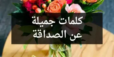 كلمات جميلة عن الصداقة