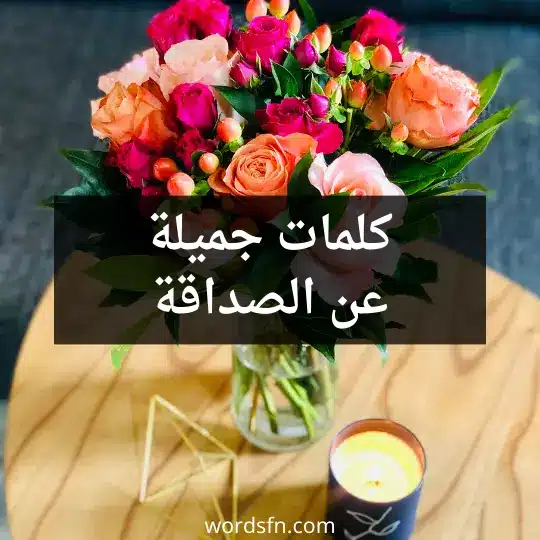 كلمات جميلة عن الصداقة