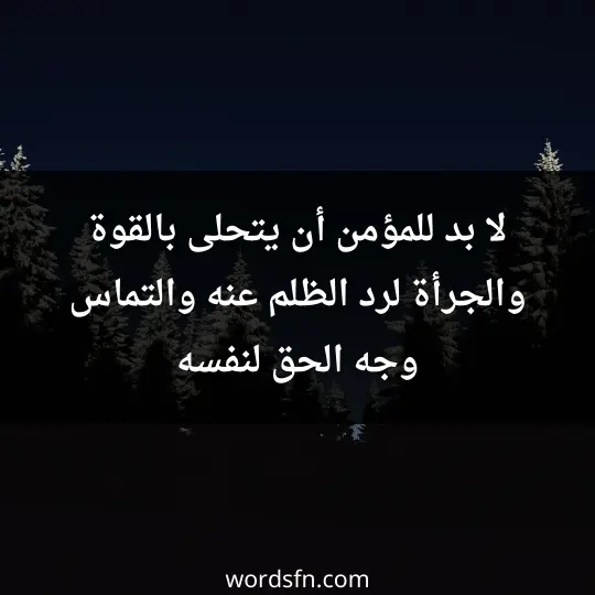 لا بد للمؤمن أن يتحلى بالقوة والجرأة لرد الظلم عنه والتماس وجه الحق لنفسه