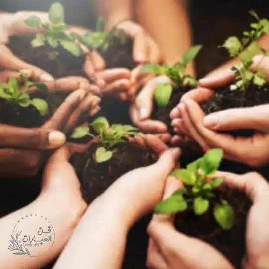 أنواع العمل التطوعي