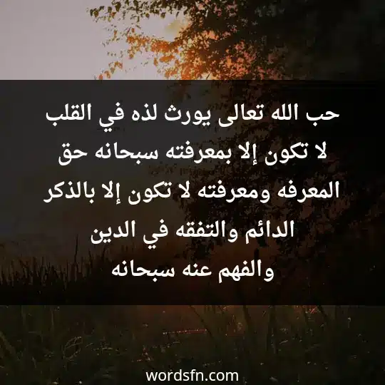 حب الله تعالى يورث لذه في القلب لا تكون إلا بمعرفته سبحانه حق المعرفه. ومعرفته لا تكون إلا بالذكر الدائم والتفقه في الدين والفهم عنه سبحانه