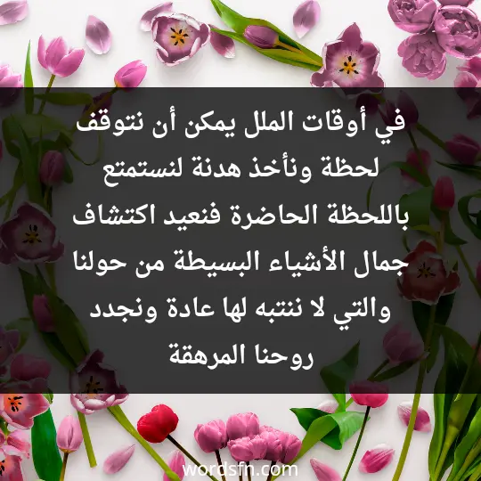 في أوقات الملل، يمكن أن نتوقف لحظة ونأخذ هدنة لنستمتع باللحظة الحاضرة، فنعيد اكتشاف جمال الأشياء البسيطة من حولنا والتي لا ننتبه لها عادة ونجدد روحنا المرهقة