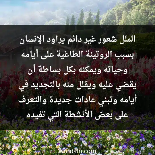 الملل شعور غير دائم، يراود الإنسان بسبب الروتينة الطاغية على أيامه وحياته، ويمكنه بكل بساطة أن يقضي عليه ويقلل منه بالتجديد في أيامه وتبني عادات جديدة، والتعرف على بعض الأنشطة التي تفيده