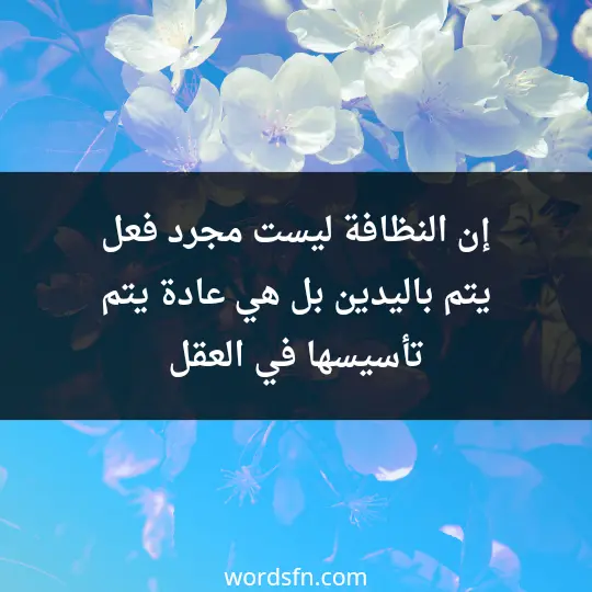 إن النظافة ليست مجرد فعل يتم باليدين، بل هي عادة يتم تأسيسها في العقل