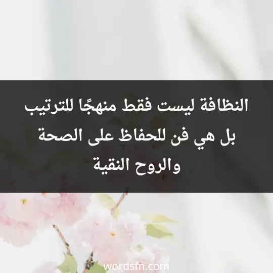 النظافة ليست فقط منهجًا للترتيب، بل هي فن للحفاظ على الصحة والروح النقية