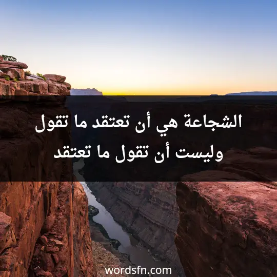 Expressions about courage1 - فن العبارات الشجاعة هي أن تعتقد ما تقول، وليست أن تقول ما تعتقد