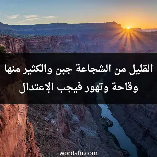 القليل من الشجاعة جبن، والكثير منها وقاحة وتهور فيجب الإعتدال - فن العبارات القليل من الشجاعة جبن، والكثير منها وقاحة وتهور فيجب الإعتدال