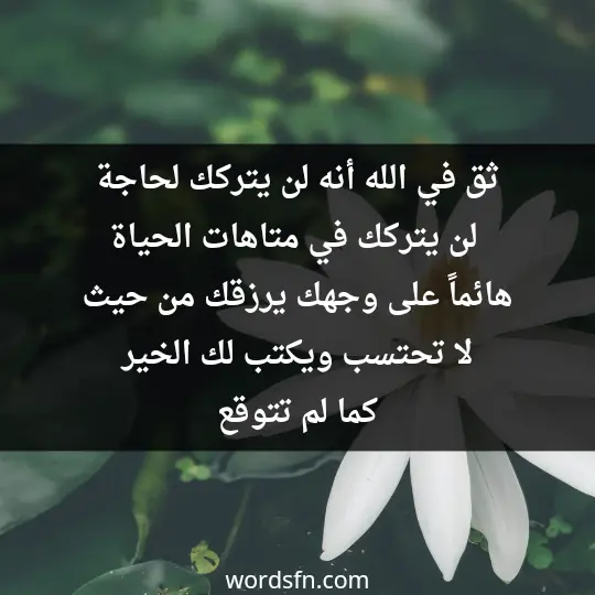 ثق في الله أنه لن يتركك لحاجة، لن يتركك في متاهات الحياة هائماً على وجهك، يرزقك من حيث لا تحتسب ويكتب لك الخير كما لم تتوقع