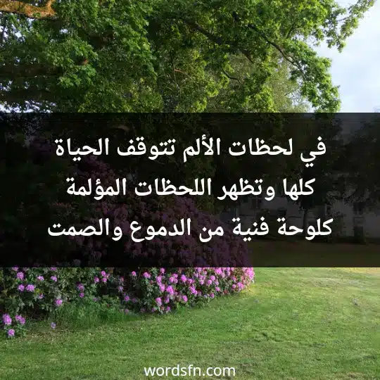 في لحظات الألم، تتوقف الحياة كلها، وتظهر اللحظات المؤلمة كلوحة فنية من الدموع والصمت