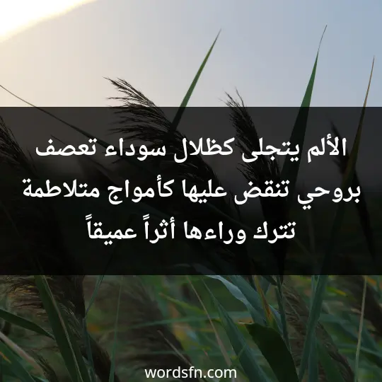 الألم يتجلى كظلال سوداء تعصف بروحي، تنقض عليها كأمواج متلاطمة تترك وراءها أثراً عميقاً