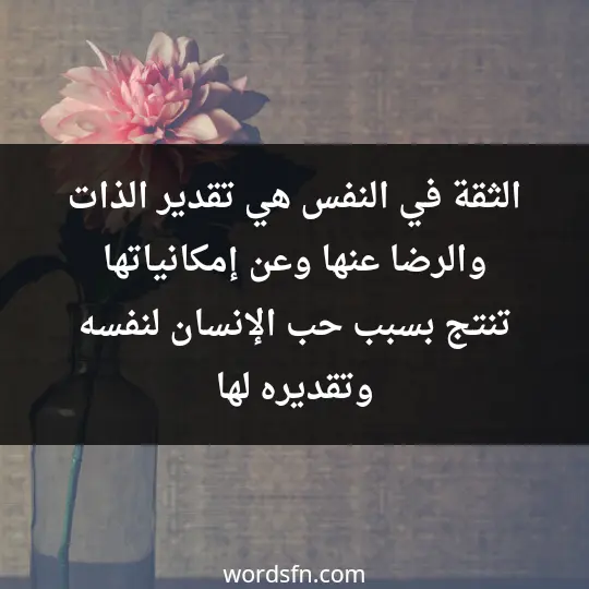 الثقة في النفس هي تقدير الذات والرضا عنها وعن إمكانياتها، تنتج بسبب حب الإنسان لنفسه وتقديره لها.