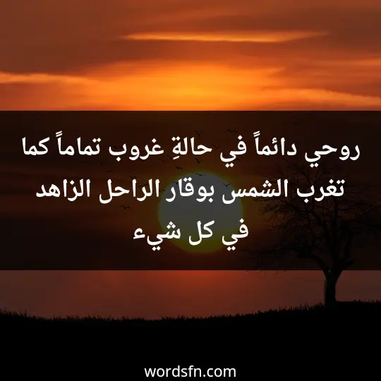 روحي دائماً في حالةِ غروب، تماماً كما تغرب الشمس بوقار الراحل، الزاهد في كل شيء - فن العبارات روحي دائماً في حالةِ غروب، تماماً كما تغرب الشمس بوقار الراحل، الزاهد في كل شيء