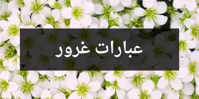 عبارات غرور