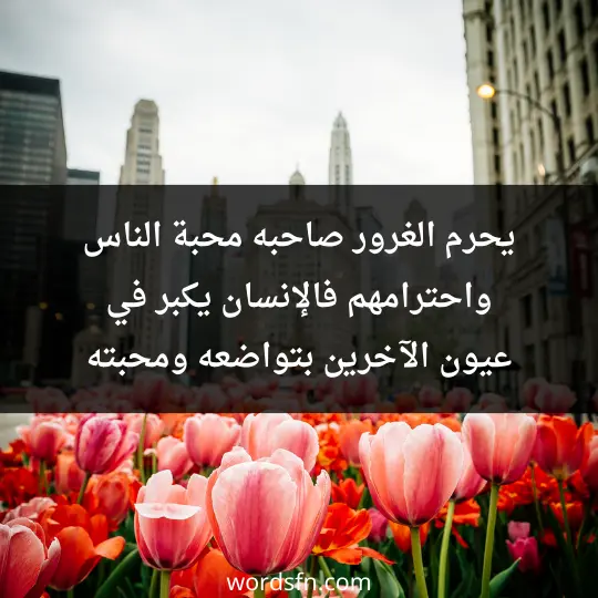 يحرم الغرور صاحبه محبة الناس واحترامهم فالإنسان يكبر في عيون الآخرين بتواضعه ومحبته - فن العبارات يحرم الغرور صاحبه محبة الناس واحترامهم فالإنسان يكبر في عيون الآخرين بتواضعه ومحبته