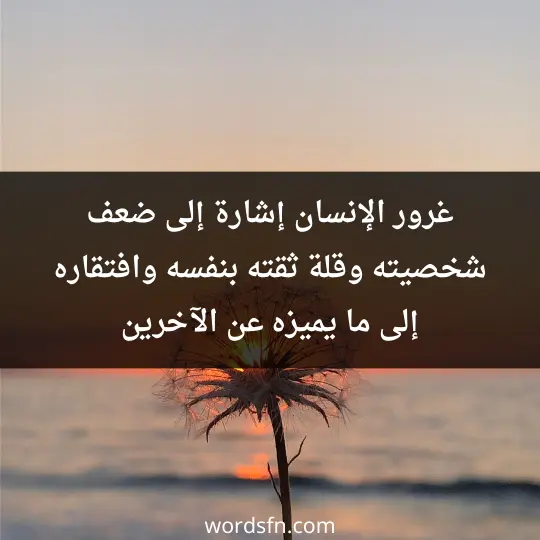 غرور الإنسان إشارة إلى ضعف شخصيته وقلة ثقته بنفسه وافتقاره إلى ما يميزه عن الآخرين - فن العبارات غرور الإنسان إشارة إلى ضعف شخصيته وقلة ثقته بنفسه وافتقاره إلى ما يميزه عن الآخرين