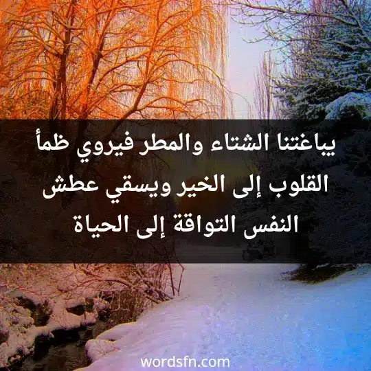 يباغتنا الشتاء والمطر فيروي ظمأ القلوب إلى الخير ويسقي عطش النفس التواقة إلى الحياة