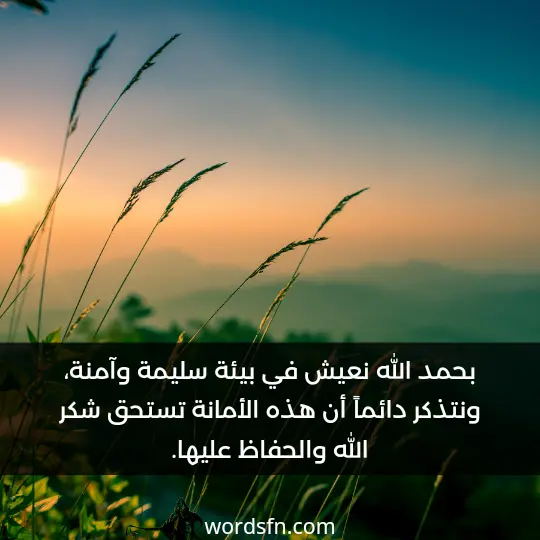 بحمد الله نعيش في بيئة سليمة وآمنة، ونتذكر دائماً أن هذه الأمانة تستحق شكر الله والحفاظ عليها. - فن العبارات بحمد الله نعيش في بيئة سليمة وآمنة، ونتذكر دائماً أن هذه الأمانة تستحق شكر الله والحفاظ عليها.