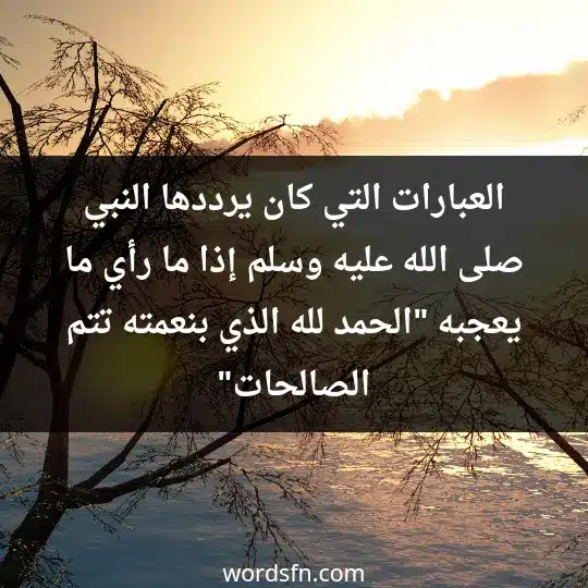 العبارات التي كان يرددها النبي صلى الله عليه وسلم إذا ما رأي ما يعجبه (الحمد لله الذي بنعمته تتم الصالحات)