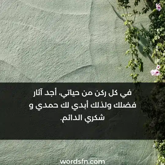 في كل ركن من حياتي أجدآثاى فضلك ولذلك أبدي لك حمدي وشكري الدائم - فن العبارات في كل ركن من حياتي أجدآثاى فضلك ولذلك أبدي لك حمدي وشكري الدائم