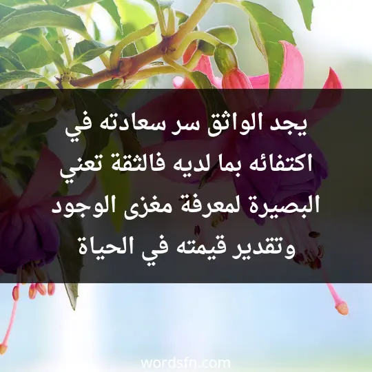 يجد الواثق سر سعادته في اكتفائه بما لديه، فالثقة تعني البصيرة لمعرفة مغزى الوجود وتقدير قيمته في الحياة