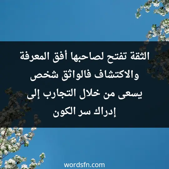 الثقة تفتح لصاحبها أفق المعرفة والاكتشاف، فالواثق شخص يسعى من خلال التجارب إلى إدراك سر الكون