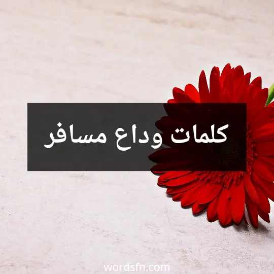 كلمات وداع مسافر