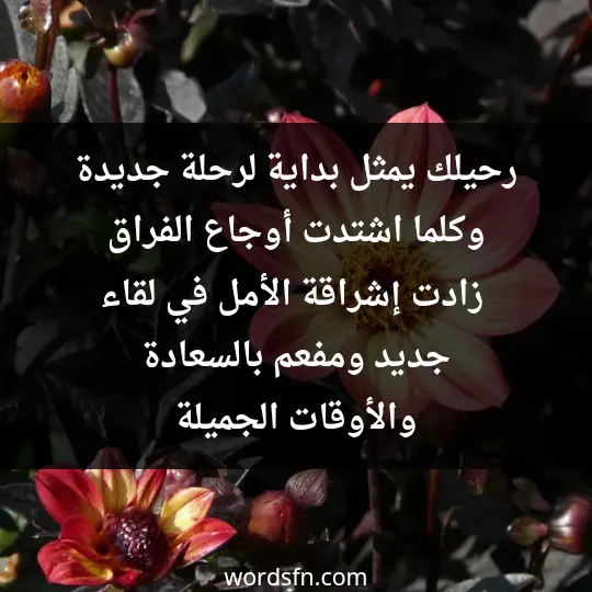 رحيلك يمثل بداية لرحلة جديدة، وكلما اشتدت أوجاع الفراق، زادت إشراقة الأمل في لقاء جديد ومفعم بالسعادة والأوقات الجميلة - فن العبارات رحيلك يمثل بداية لرحلة جديدة، وكلما اشتدت أوجاع الفراق، زادت إشراقة الأمل في لقاء جديد ومفعم بالسعادة والأوقات الجميلة