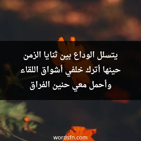 يتسلل الوداع بين ثنايا الزمن، حينها أترك خلفي أشواق اللقاء وأحمل معي حنين الفراق - فن العبارات يتسلل الوداع بين ثنايا الزمن، حينها أترك خلفي أشواق اللقاء وأحمل معي حنين الفراق