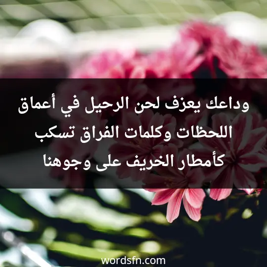 وداعك يعزف لحن الرحيل في أعماق اللحظات، وكلمات الفراق تسكب كأمطار الخريف على وجوهنا - فن العبارات وداعك يعزف لحن الرحيل في أعماق اللحظات، وكلمات الفراق تسكب كأمطار الخريف على وجوهنا