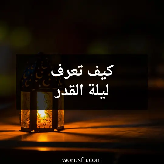 كيف تعرف ليلة القدر