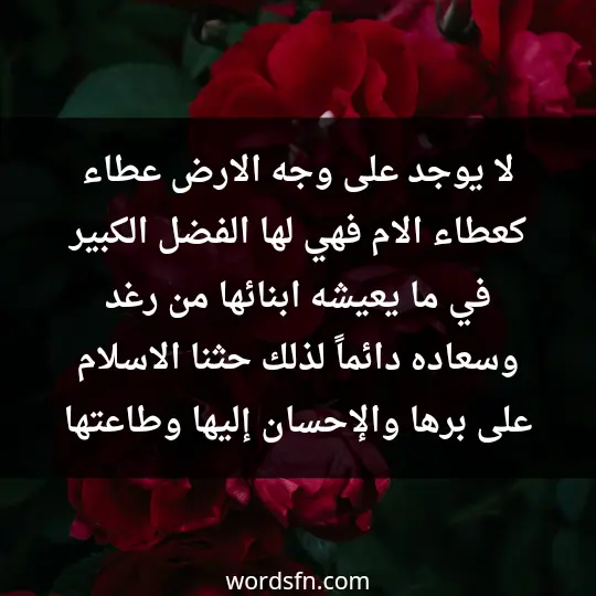 لا يوجد على وجه الارض عطاء كعطاء الام ،فهي لها الفضل الكبير في ما يعيشه ابنائها من رغد وسعاده دائماً،لذلك حثنا الاسلام على برها والإحسان إليها وطاعتها