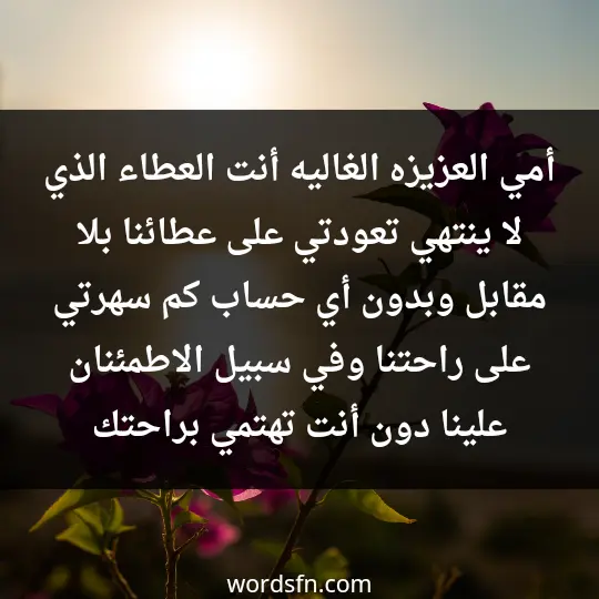 أمي العزيزه الغاليه،أنت العطاء الذي لا ينتهي،تعودتي على عطائنا بلا مقابل وبدون أي حساب،كم سهرتي على راحتنا وفي سبيل الاطمئنان علينا دون أنت تهتمي براحتك