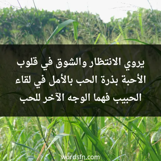 Lyrics about waiting and longing1 - فن العبارات يروي الانتظار والشوق في قلوب الأحبة بذرة الحب بالأمل في لقاء الحبيب، فهما الوجه الآخر للحب