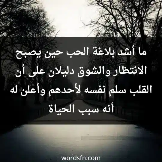 Lyrics about waiting and longing2 - فن العبارات ما أشد بلاغة الحب، حين يصبح الانتظار والشوق دليلان على أن القلب سلم نفسه لأحدهم وأعلن له أنه سبب الحياة