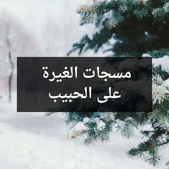 مسجات الغيرة على الحبيب