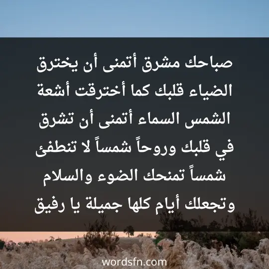 صباحك مشرق، أتمنى أن يخترق الضياء قلبك كما أخترقت أشعة الشمس السماء، أتمنى أن تشرق في قلبك وروحاً شمساً لا تنطفئ، شمساً تمنحك الضوء والسلام، وتجعلك أيام كلها جميلة يا رفيق - فن العبارات صباحك مشرق، أتمنى أن يخترق الضياء قلبك كما أخترقت أشعة الشمس السماء، أتمنى أن تشرق في قلبك وروحاً شمساً لا تنطفئ، شمساً تمنحك الضوء والسلام، وتجعلك أيام كلها جميلة يا رفيق