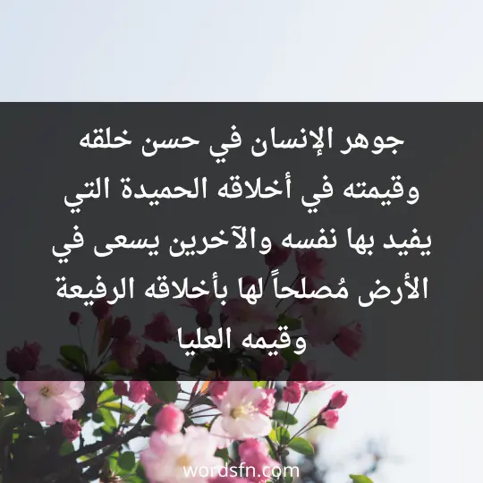 جوهر الإنسان في حسن خلقه، وقيمته في أخلاقه الحميدة التي يفيد بها نفسه والآخرين، يسعى في الأرض مُصلحاً لها بأخلاقه الرفيعة وقيمه العليا