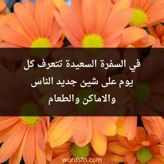في السفرة السعيدة تتعرف كل يوم على شيئ جديد الناس والاماكن والطعام - فن العبارات في السفرة السعيدة تتعرف كل يوم على شيئ جديد الناس والاماكن والطعام