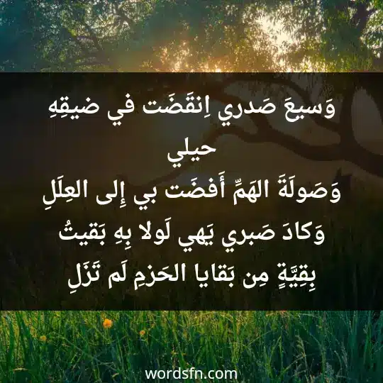 Poems of Hassan Kamel Al-Sayrafi 1 - فن العبارات وَسيعَ صَدري اِنقَضَت في ضيقِهِ حيلي وَصَولَةَ الهَمِّ أَفضَت بي إِلى العِلَلِ وَكادَ صَبري يَهي لَولا بِهِ بَقيتُ بِقِيَّةٍ مِن بَقايا الحَزمِ لَم تَزَلِ